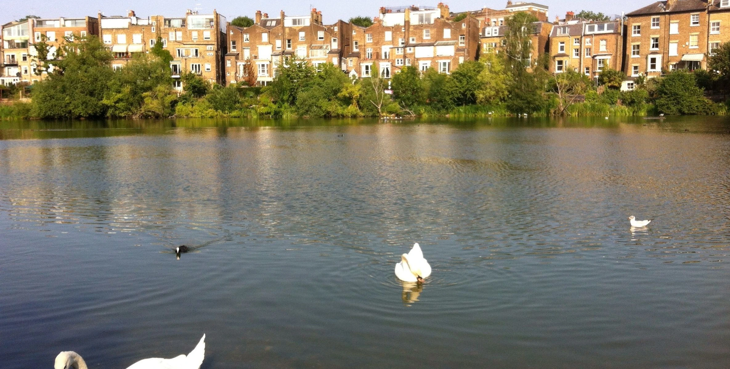 What to Look for When Hiring a Hampstead Architect
