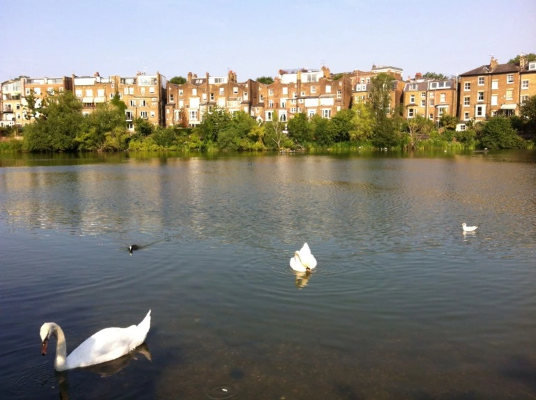 What to Look for When Hiring a Hampstead Architect